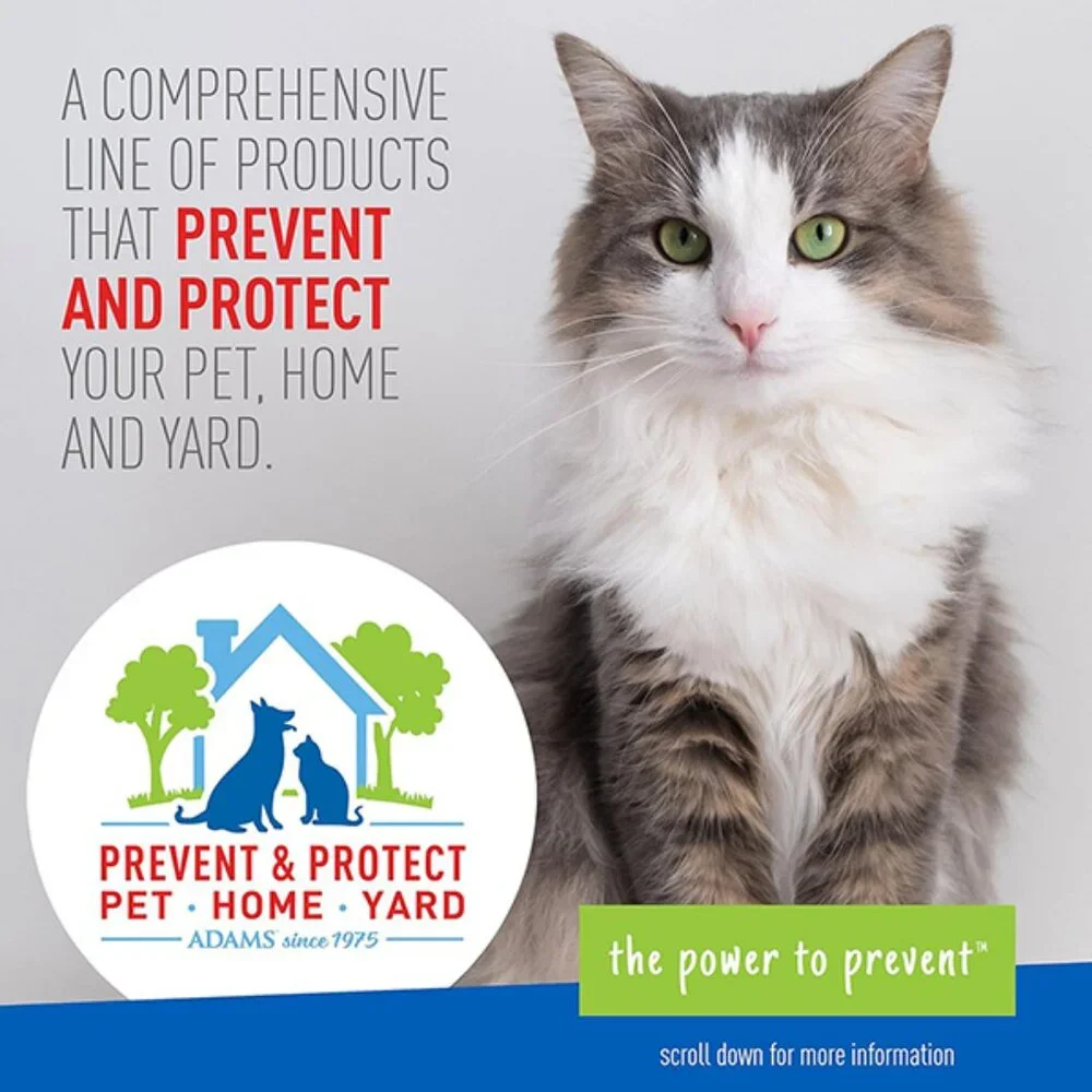 New Flea and Tick Collar for Cats Breakaway Design 7 Month Protection